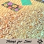 Beach Terrain Rocks and Shells
