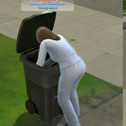 Trad FR  Waste Manager Overhaul lotharihoe