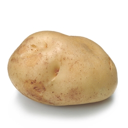 The Glitched Potato logo