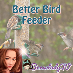 Better Bird Feeder