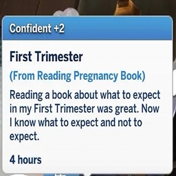 Pregnancy Books | Spanish Translation By RoshySims logo