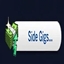 Computer Side Gigs | Spanish Translation By RoshySims logo