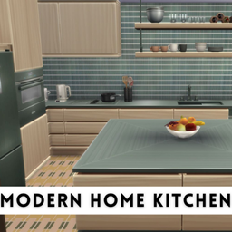 Modern Home Kitchen