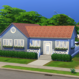 Blue cats and dogs house project image