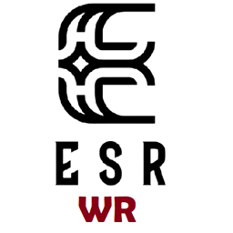 Epic Stats Remastered: Weapon Requirements (Discontinued) logo
