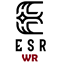 Epic Stats Remastered: Weapon Requirements (Discontinued) logo