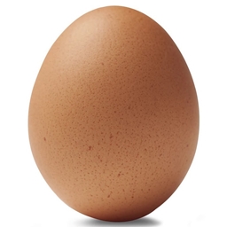 TechnoMagic Eggs logo