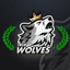 True Wolves logo