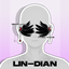 LIN-DIAN Black Feather Spider Eye Ornament logo