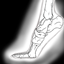 Bleedin' Toes logo