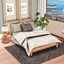 Safna  Bedroom logo