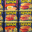 Fix Title Spam logo