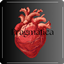 Pragmatica logo