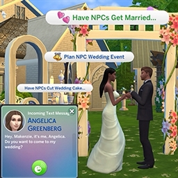 NPC Weddings and Invites | Spanish Translation By RoshySims project image