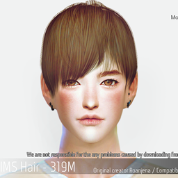 Hair 319M logo