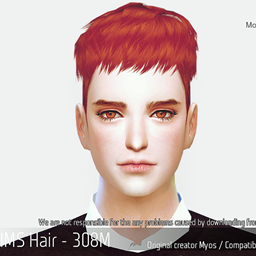 Korean Hair 308M logo