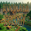 Woodland Colony logo