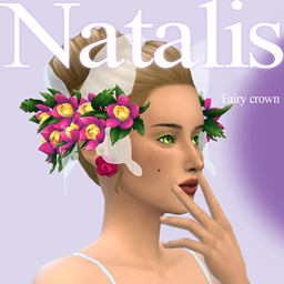 Fairy crownⁿᵃᵗᵃˡⁱˢ project image