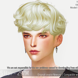 Korean Hair 297M project image