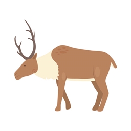 christmas life logo