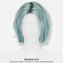 [Hezeh]Hair_No.55 logo