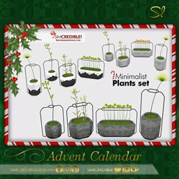 Advent Calendar 🎁 Day 5 - Minimalist Plants 🌱🌿