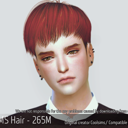 Korean Hair 265M logo