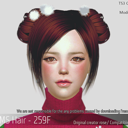 Korean Hairstyle 259F