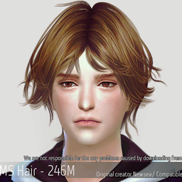 Korean Hair 246M