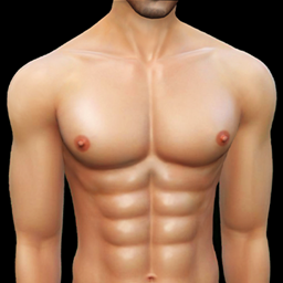 Guscleskin - Male Top Preset