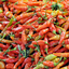 Spicy Squad SMP Enhancements logo