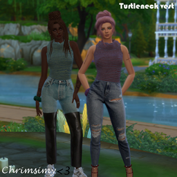 Turtleneck Vest project image