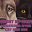 MM Obsessed Eyes Cat and Dog logo