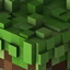 SMP RE logo