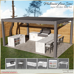 Luxe Wicker BBQ Set