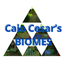 Caio Cesar's Biomes and Seasons logo