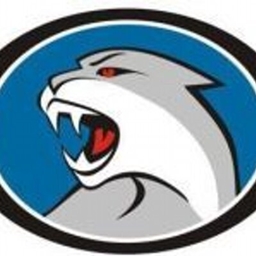 Cougar SMP