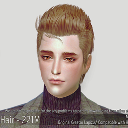 Korean Hair 221M project image