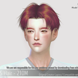Korean Hair 210M logo