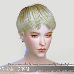 Korean Hair 209M logo