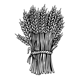 Years of Grain and Salt logo