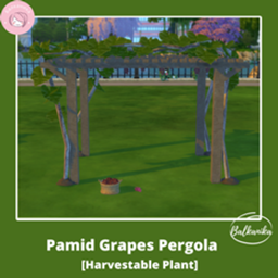 Trad FR Pamid Pergola Balkanika