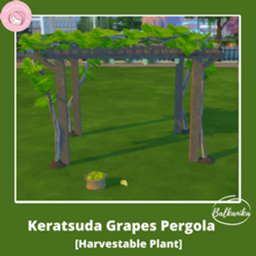 Trad FR Keratsuda Pergola Balkanika