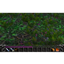 Simplified Action Bars logo