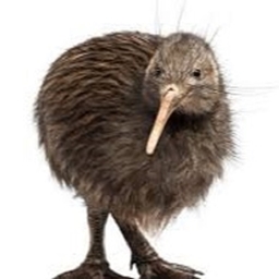 KiwiCraft Parasites logo