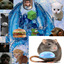 Tensura:Reincarnated for Rats logo