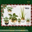 Advent Calendar 🎁 Day 18 - Plants logo