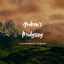 Andrew's Modyssey logo