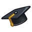 University student Career - Gerson logo
