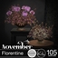 Florentine Vol. II - November 2024 logo